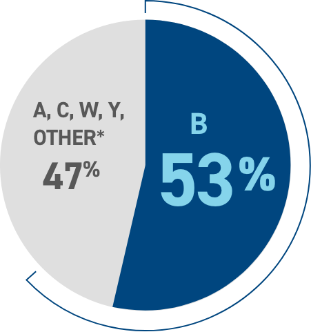 Pie Chart displaying B= 60%; A, C, W, Y other* = 40%